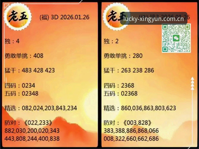 杏运平台最新版 资深用户揭秘:杏运平台最新版使用心得与实战经验