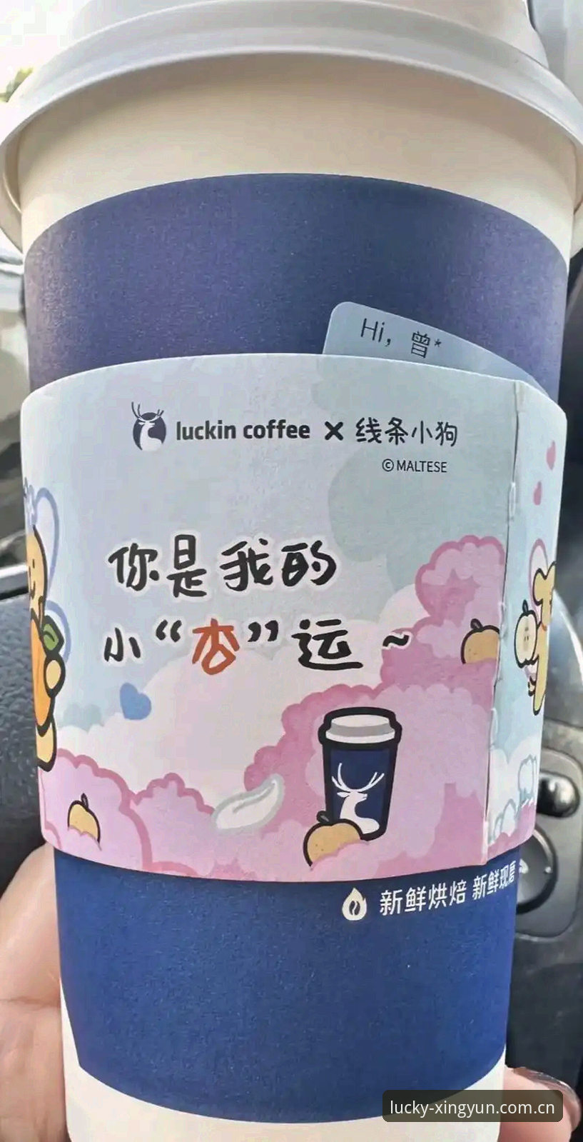 掌握杏运平台手机版2026最新版本：下载安装与使用实用指南